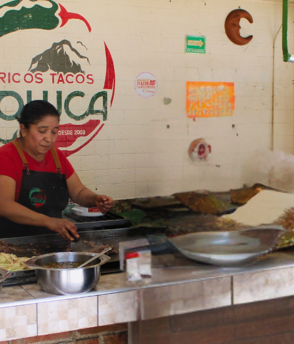 Private Tour Mexico City Gastronomic, Mexican Food