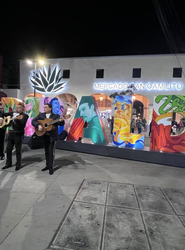 Garibaldi, Mariachi, Mexico City, Show, Party, Private Tour, Epic Journey