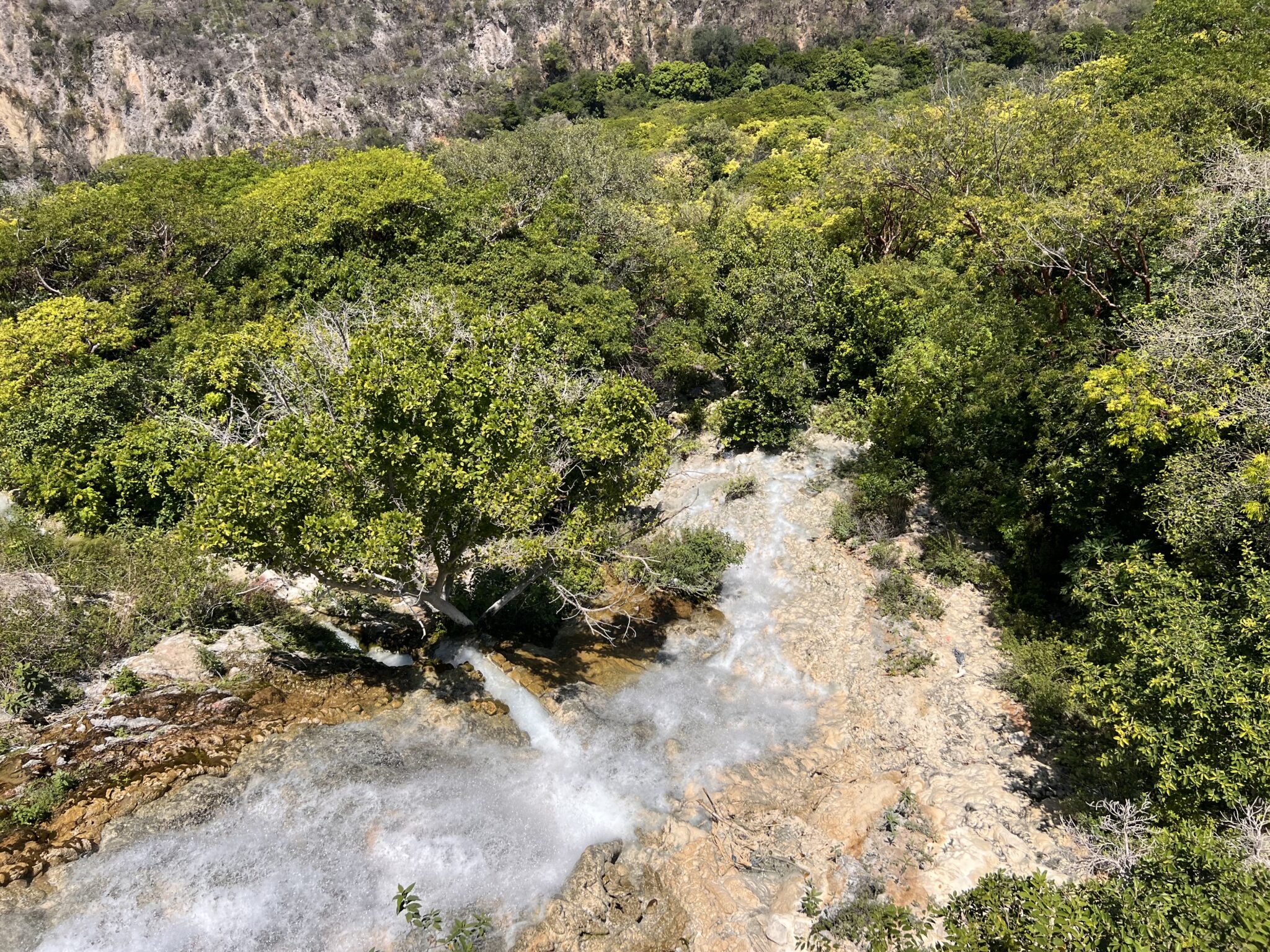 tolantongo hotsprings private tours mexico city