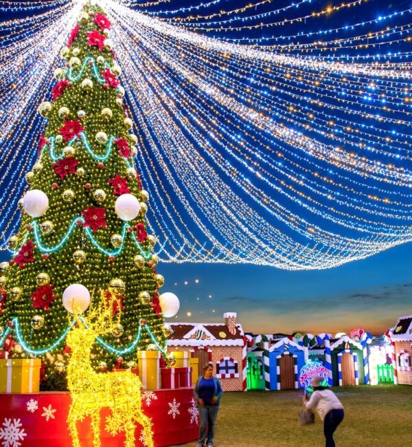 Private Tour Mexico City, Brilla Fest, Atlixco, Puebla.