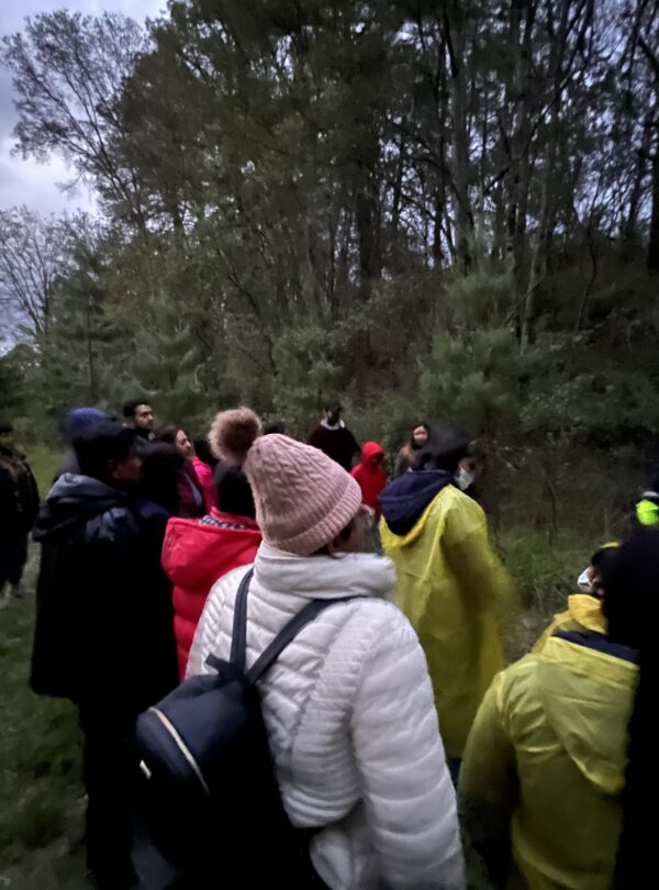 Private Tour Mexico City Nanacamilpa, Tlaxcala, Fireflies Sanctuary