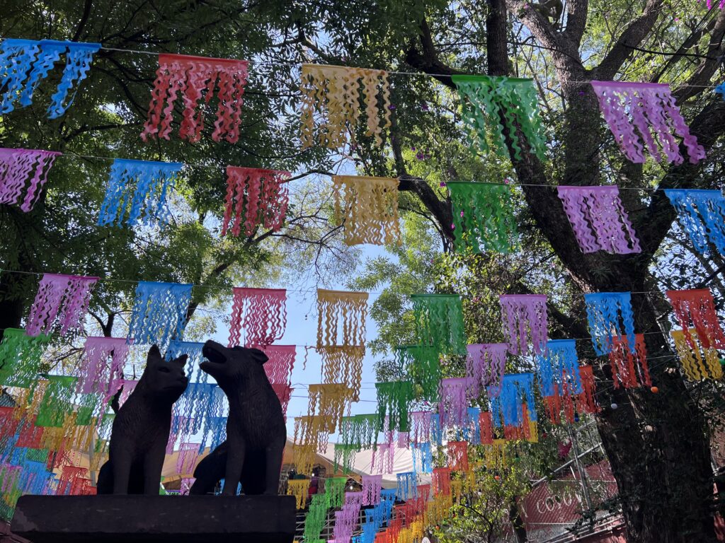 Coyoacan, Historic neighborhood, Mexico City, Private Tour, Epic Journey